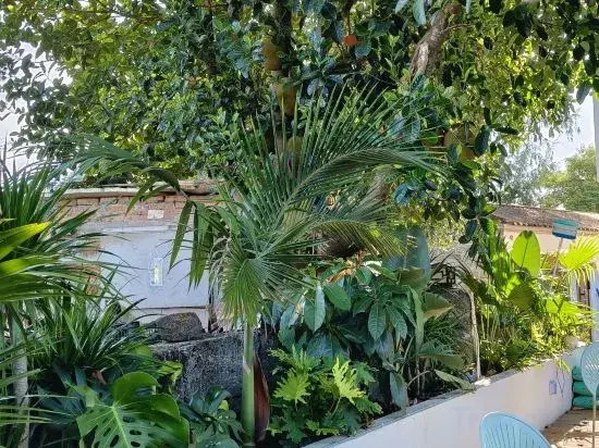 Bailuyuan B&B (Shell Beach)