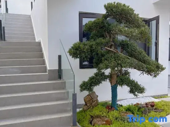 Xichang Qingqi Homestay