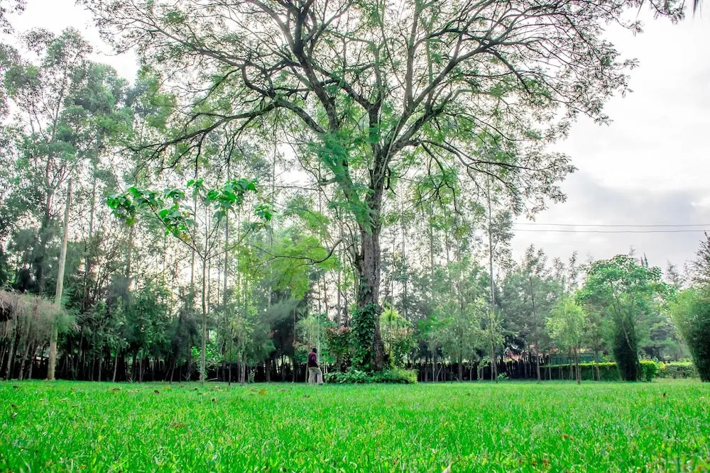 Mulembe Villa