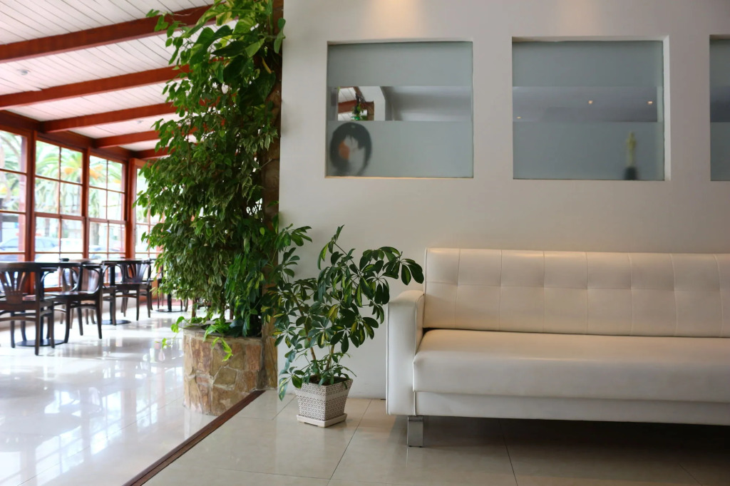 Hotel San Martin