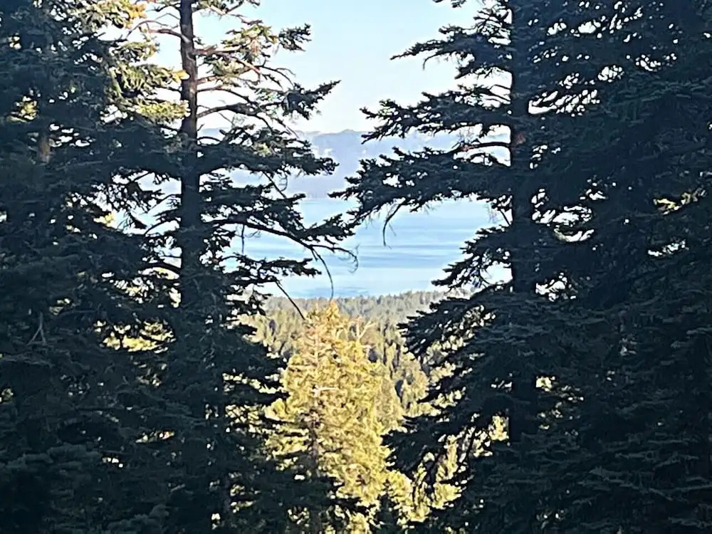 Awesome Dawson 1 Bedroom Condo by RedAwning