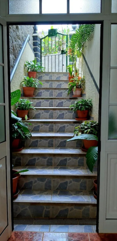 The Dream Apartment - ETC Madeira