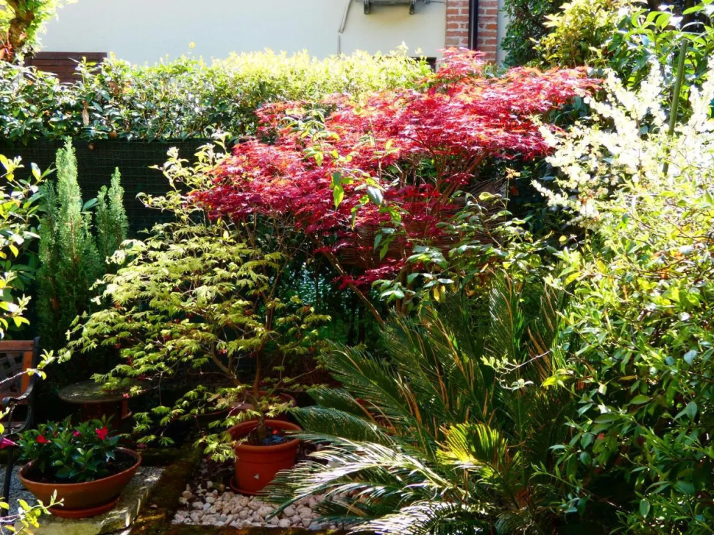 Garden Sweet House Desenzano