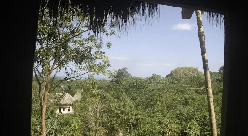 Zamukia
