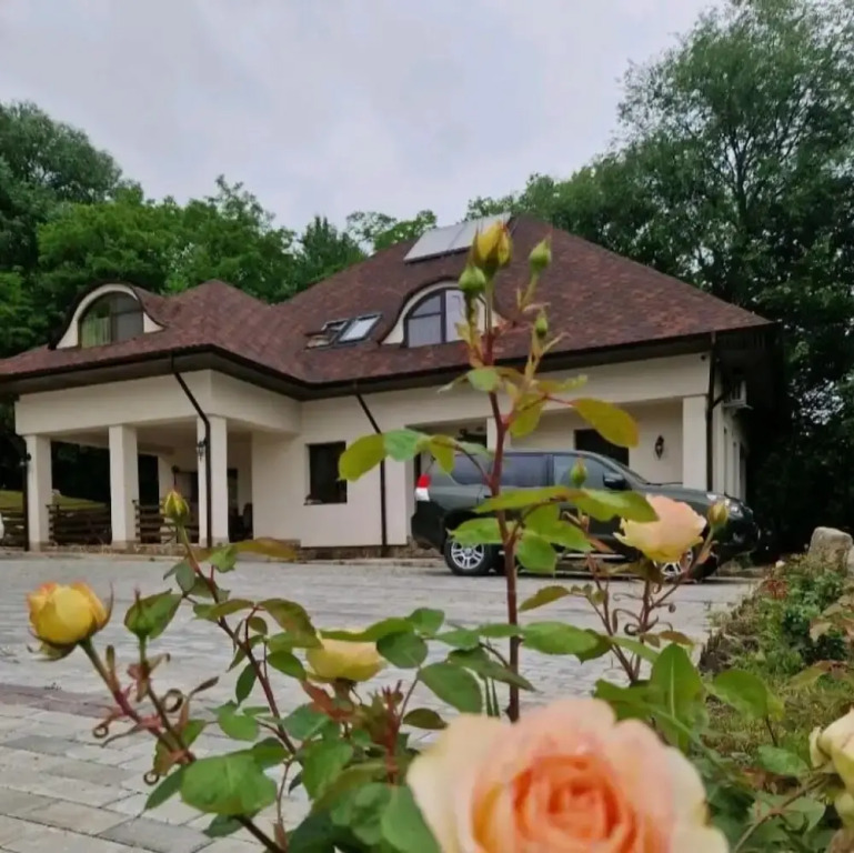 Provence Suceava photo 7