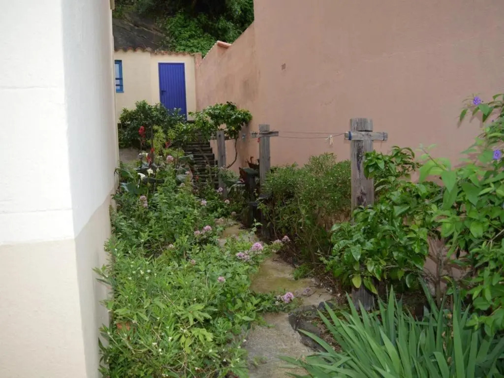 Appartement Collioure, 4 pièces, 6 personnes - FR-1-225-684