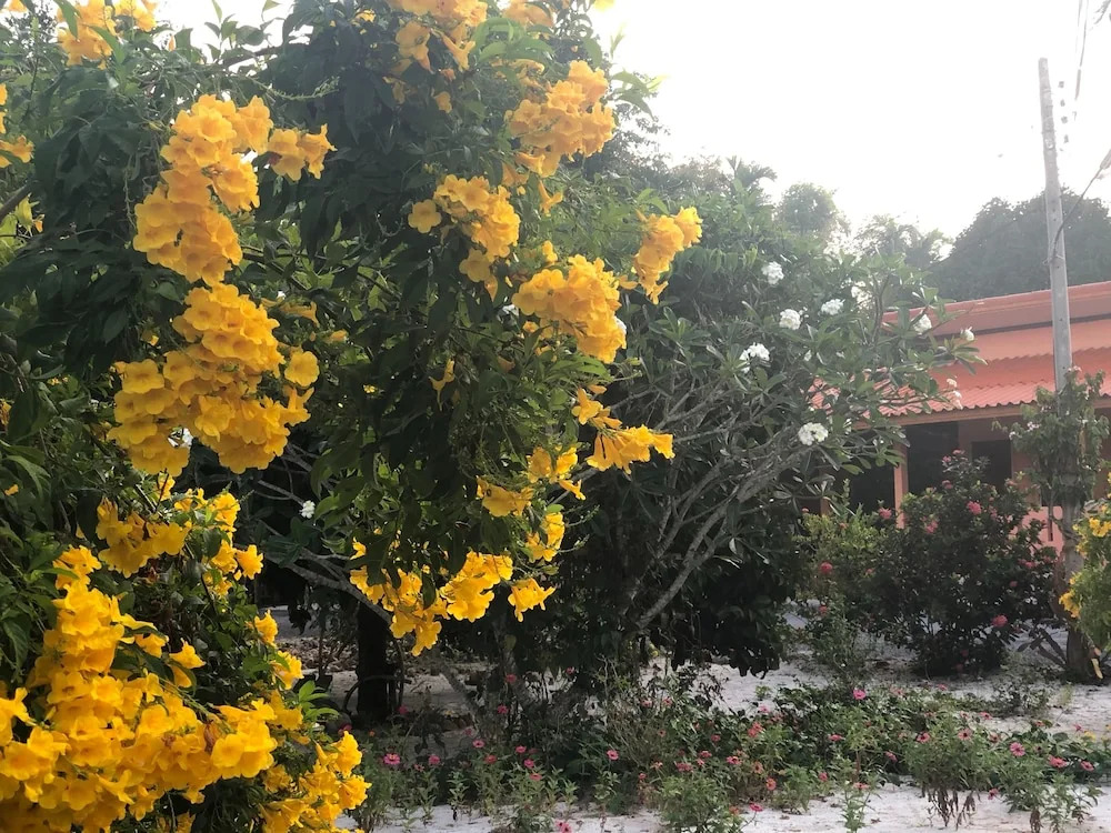 Sichon Resort