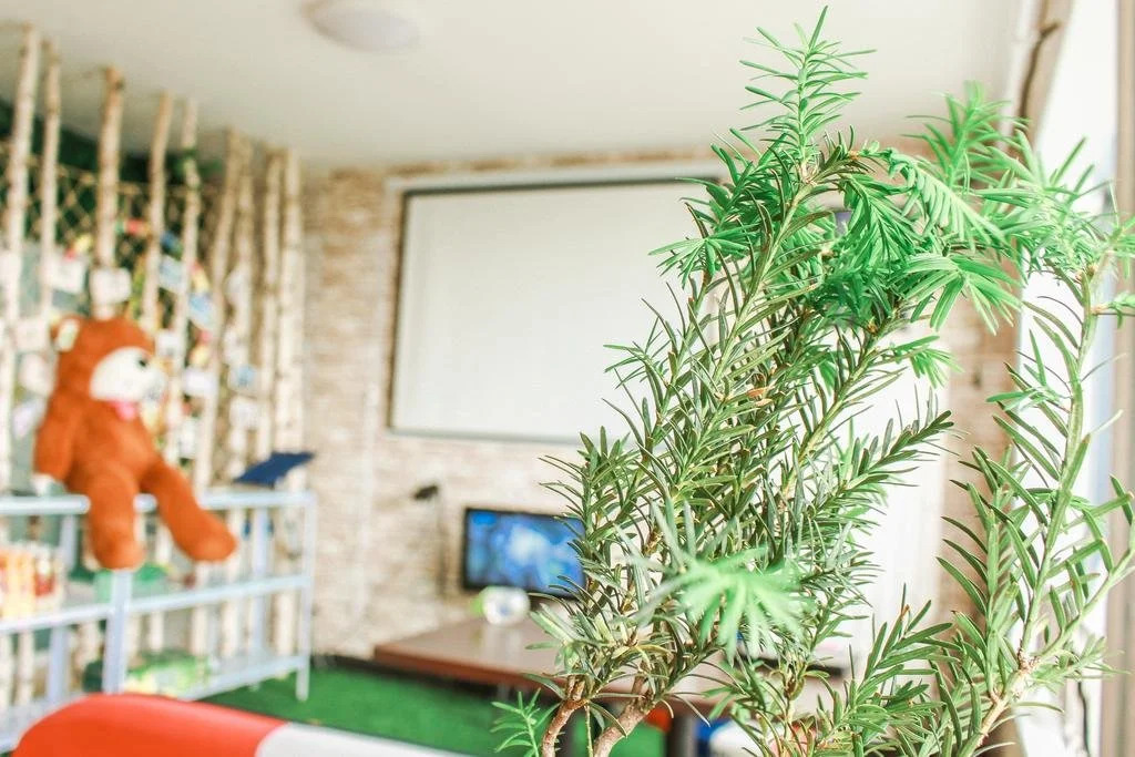YanTai Dream Hostel(种梦青年旅舍（烟台文经学院店）)