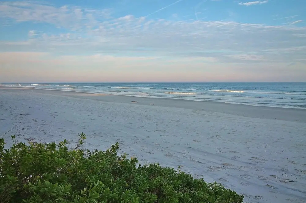 Point East 314