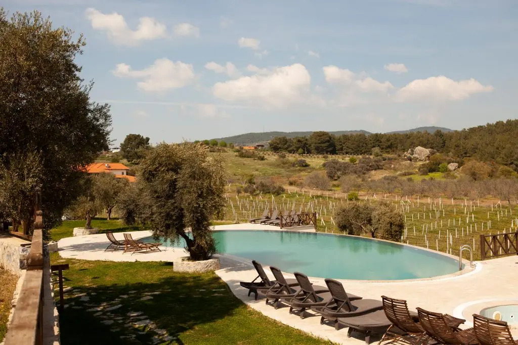 Vinifera Vineyards Hotel