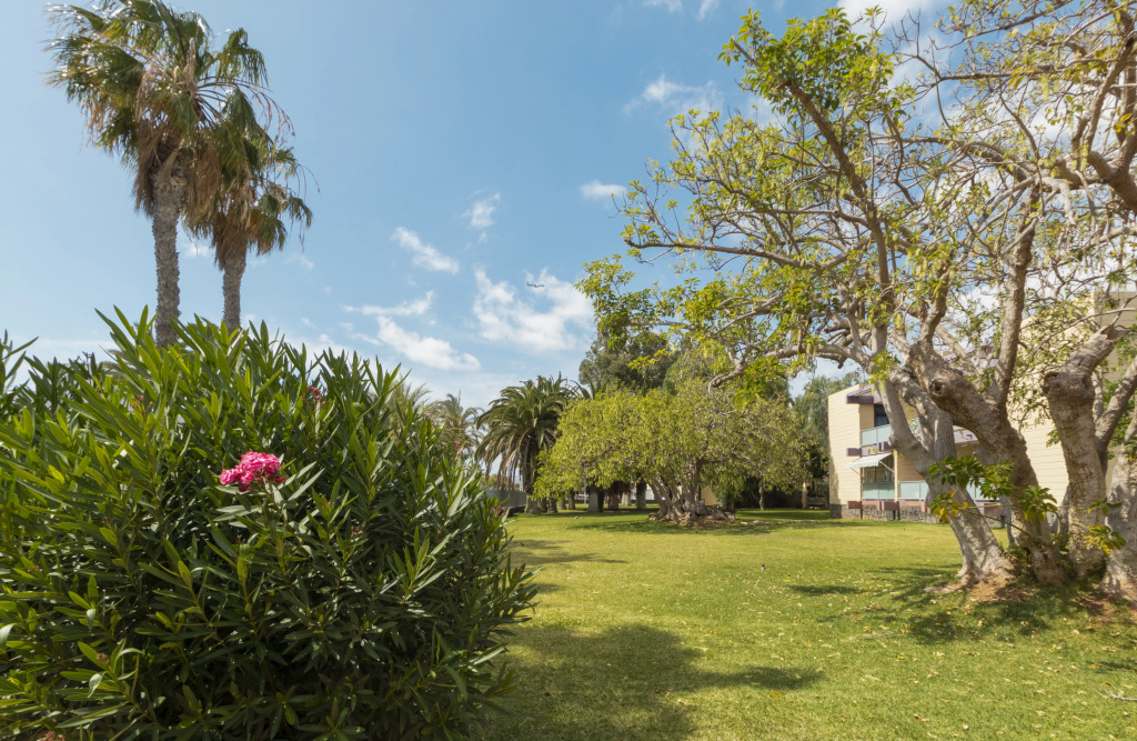 Hotel Palia Don Pedro