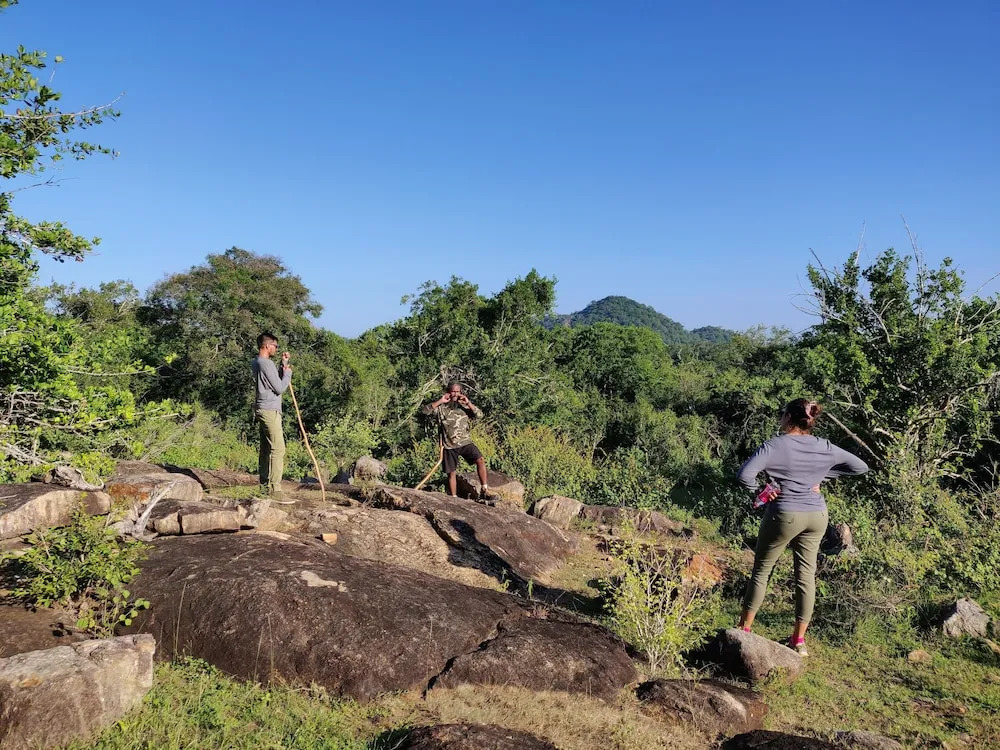 Makini Bush Camp, Yala
