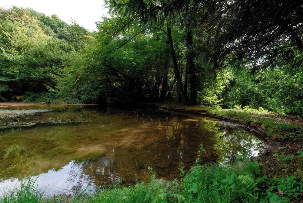Ladye Park
