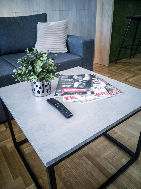 Raw Industrial City Apartment