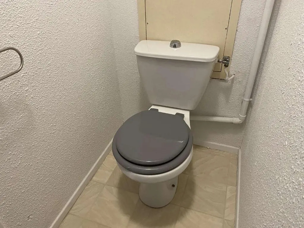 Appartement Le Grau-du-Roi, 2 pièces, 4 personnes - FR-1-250-233