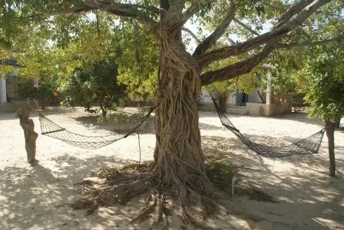 Le Bazouk Du Saloum