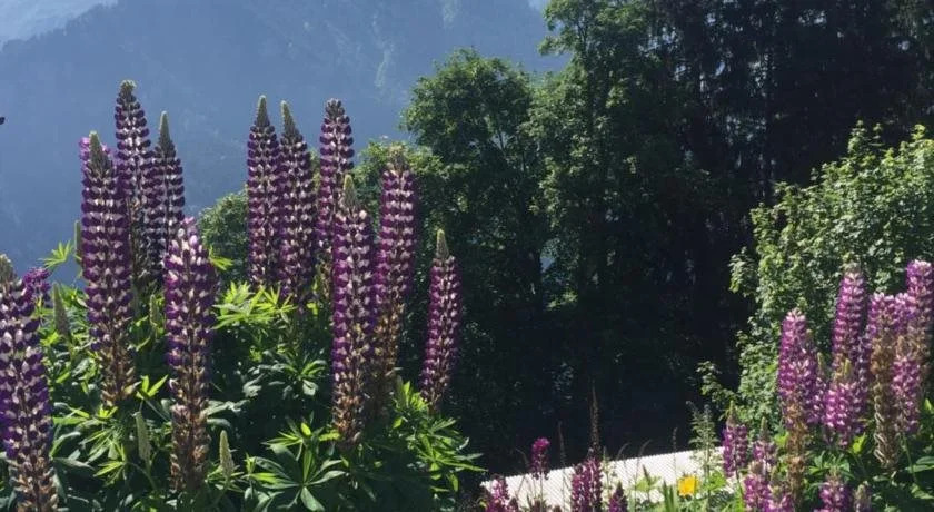 Hotel & Restaurant Stadthof Glarus