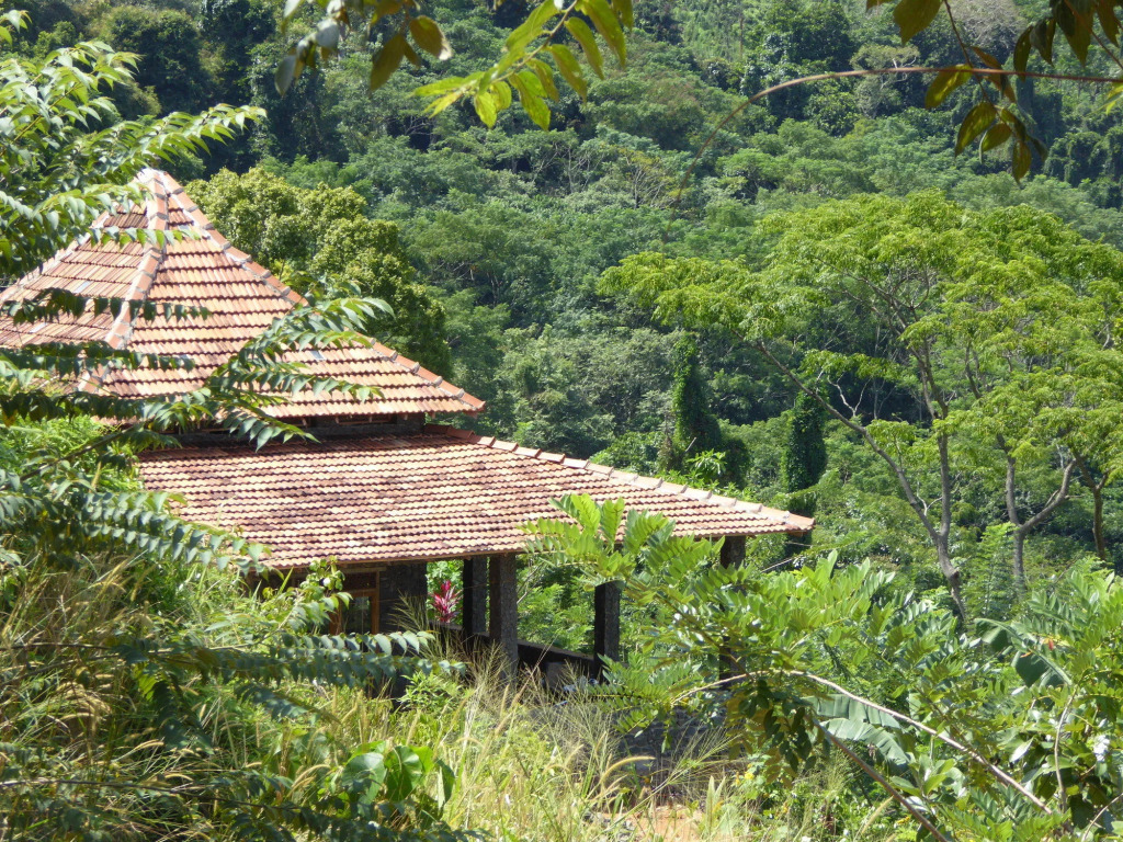 Kurulu Estate