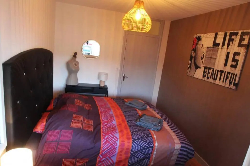 Grand F3 cosy centre Clermont-Ferrand avec garage