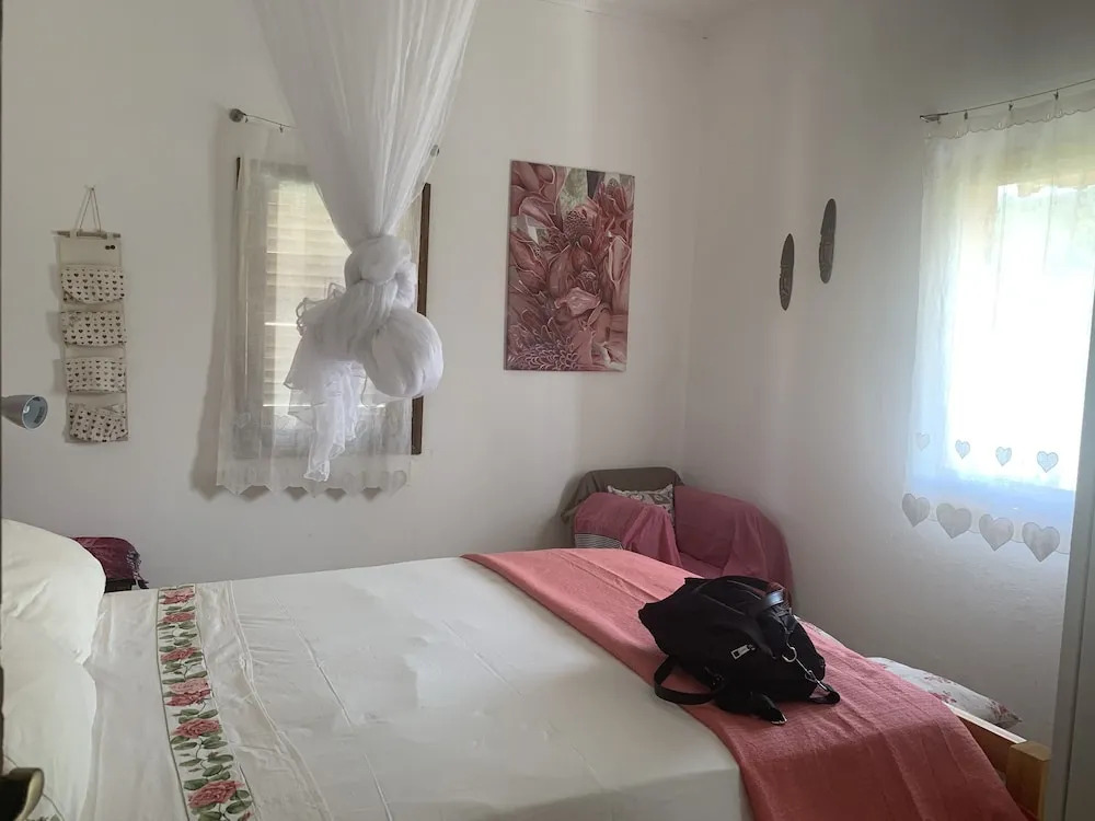Domus Rio Papagaio