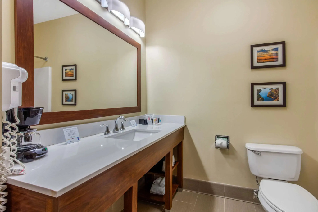 Comfort Inn & Suites McComb