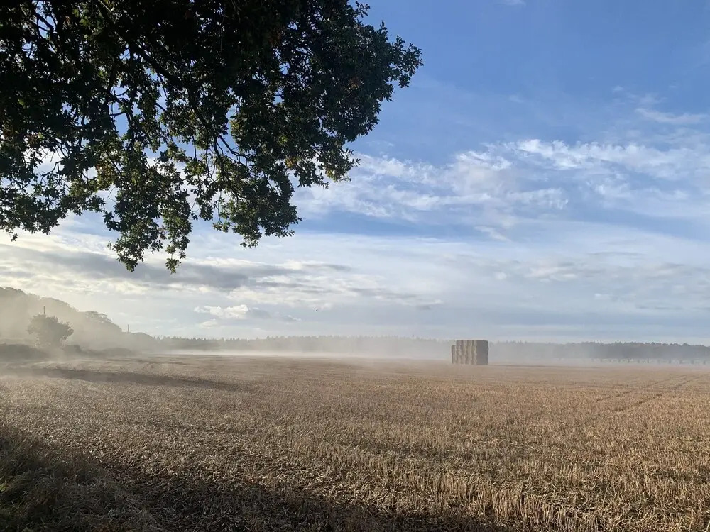 The Little Hay Barn