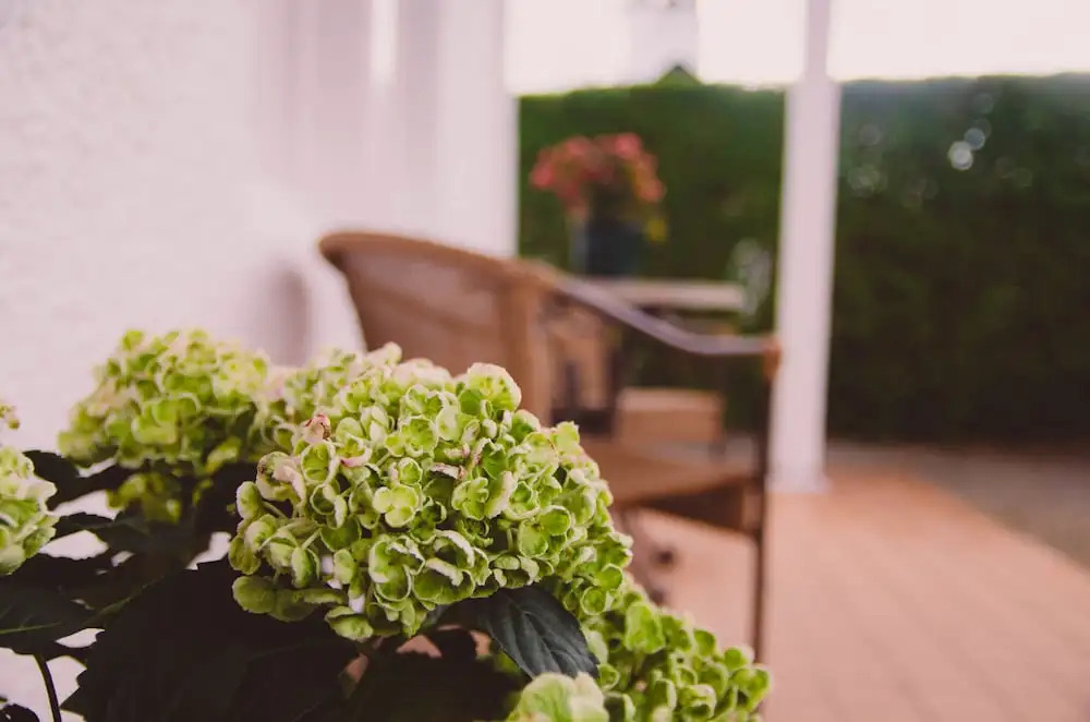15 Alloway B&B