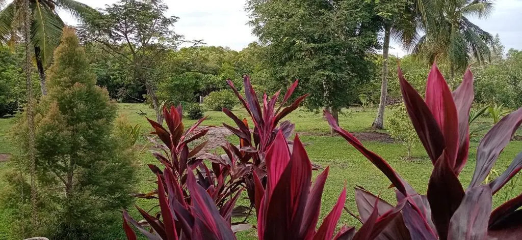Aaryana Lagoon