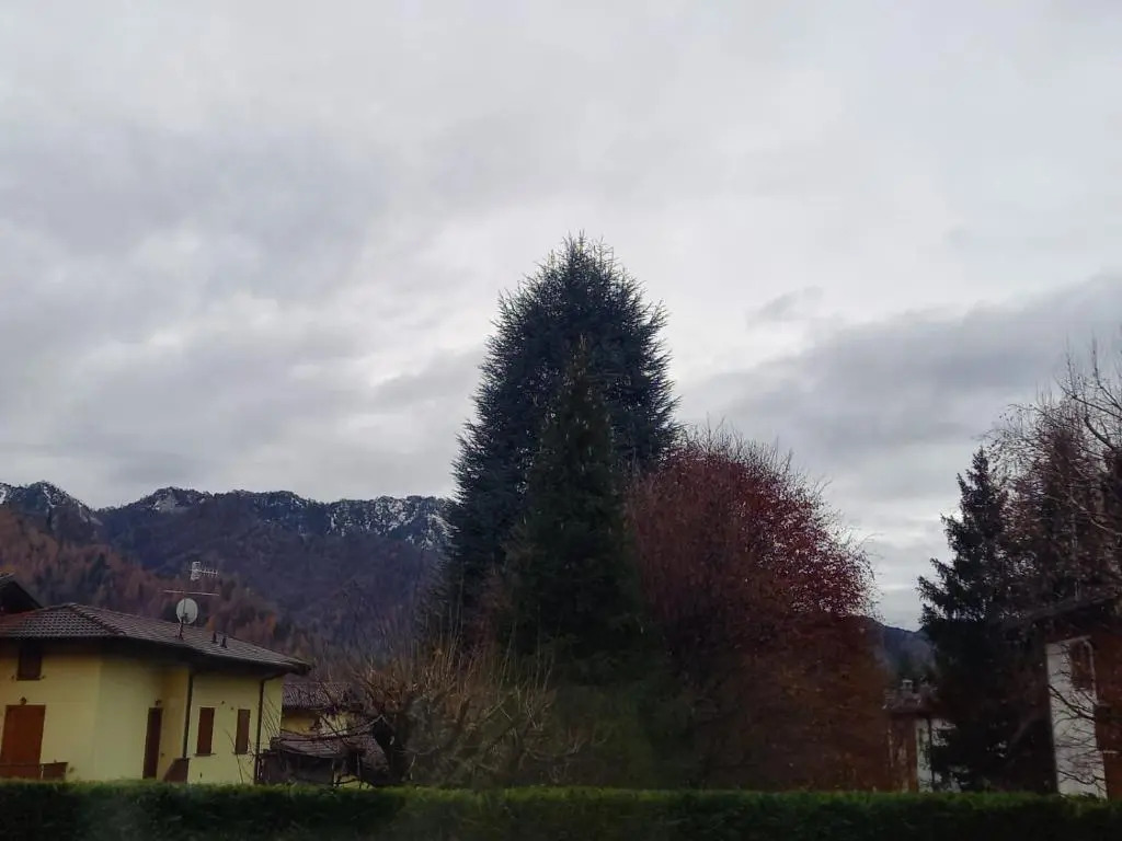 Presolana Home