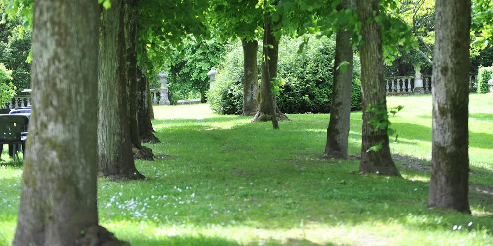 Romantik Hotel Schloss Hohenstein
