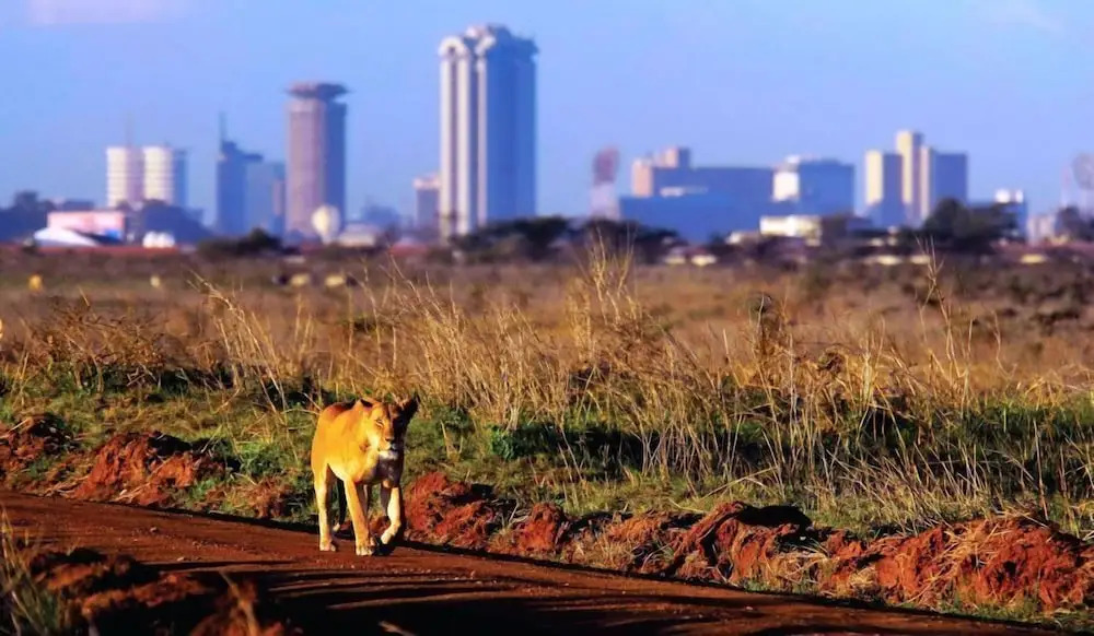 JKIA Airport side apartment