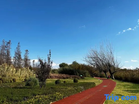 Atour Light Hotel Kunming Huanhu Road Dianchi Convention and Exhibition Center
