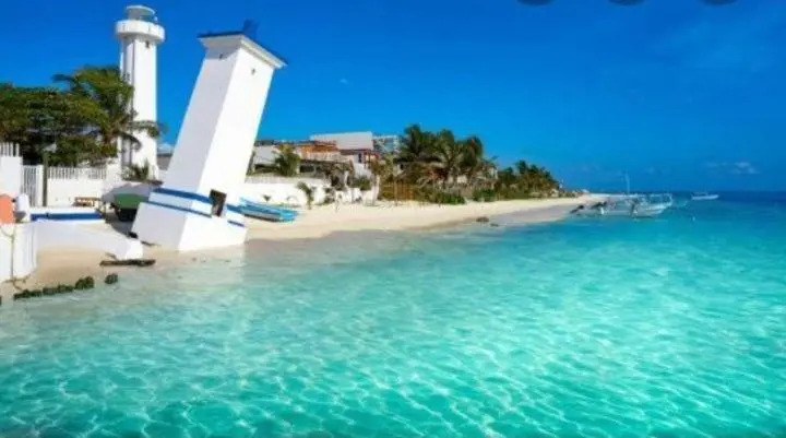 mantarraya 20 puerto morelos