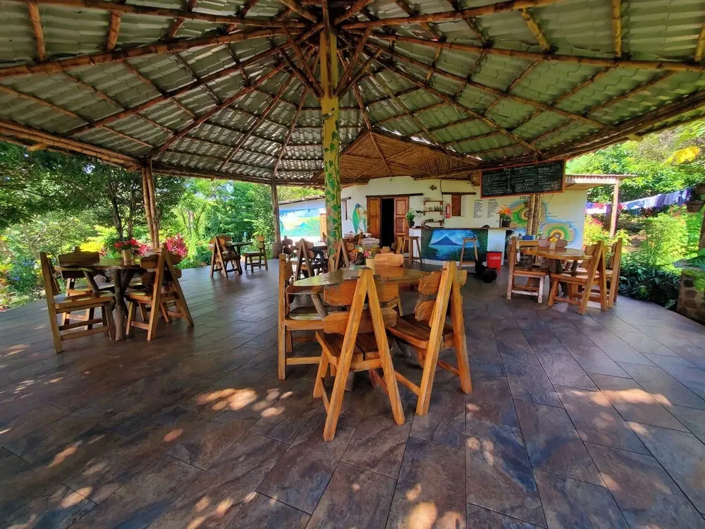 The Jungle Lodge