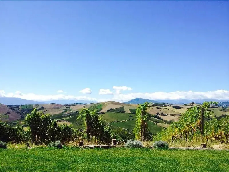 Colle del Giglio Resort & Spa
