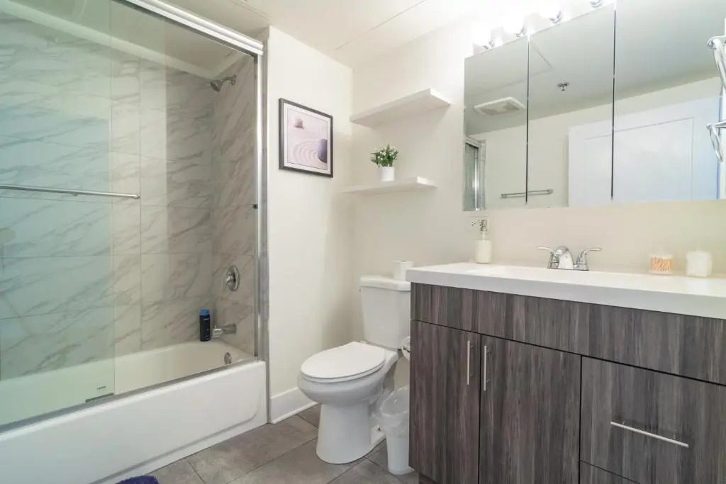 McCormick Place 420 friendly 2br-2ba on Michigan avenue with optional parking for 6 guests