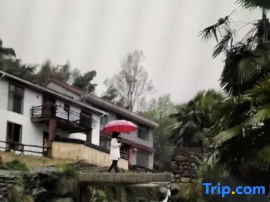 Yunshangmishe