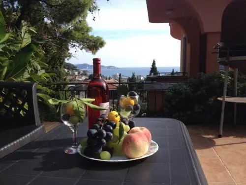 Viktors House Sutomore