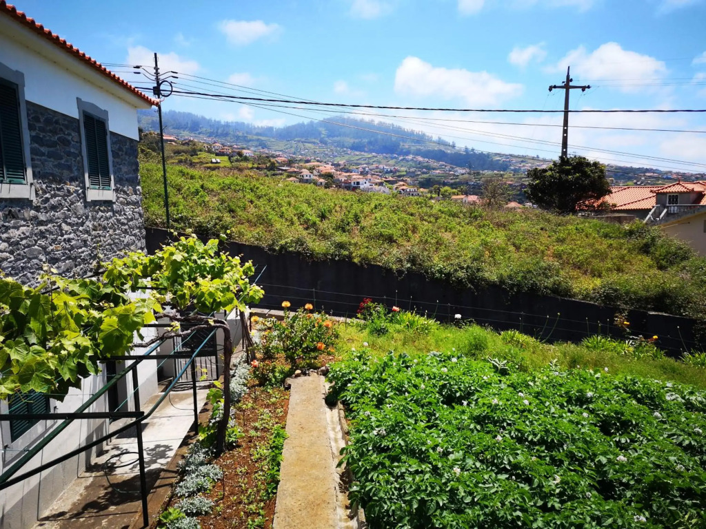 Madeira Inn Casa da Paz