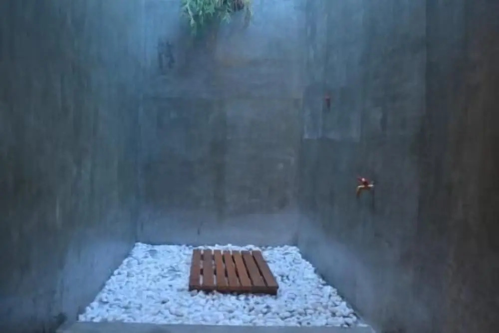 Jungle Boss Travel Lodge