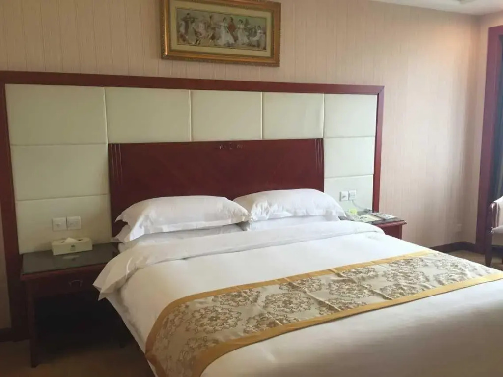 Vienna Hotel Foshan Nanhai Avenue Branch