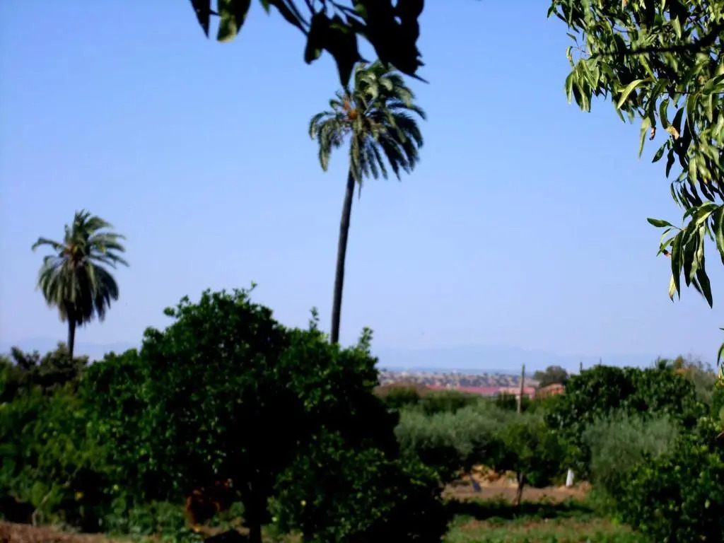 Casa Rural El Cercón