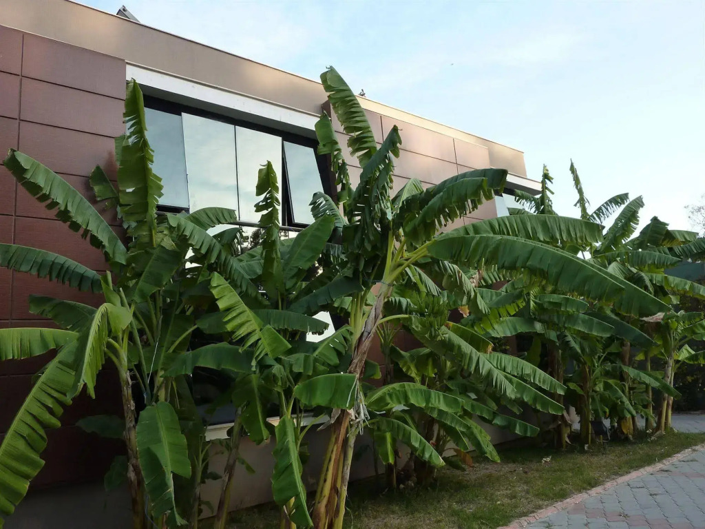 Çetinel Otel