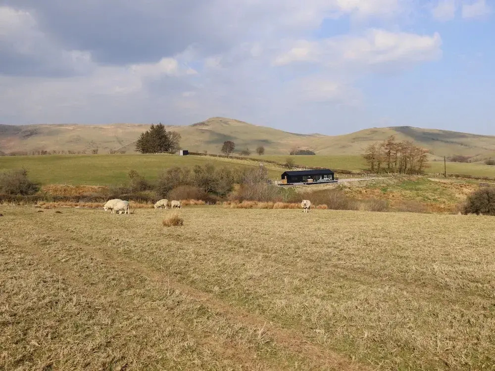 The Sheep Shed