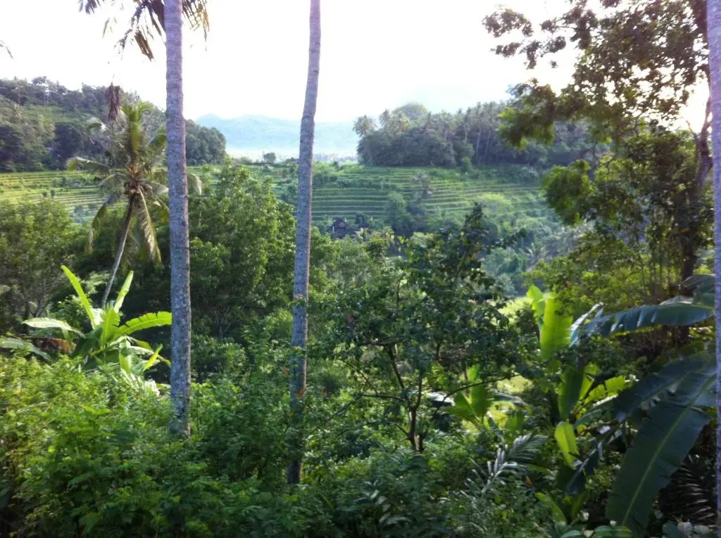 Pondok Alam Bukit