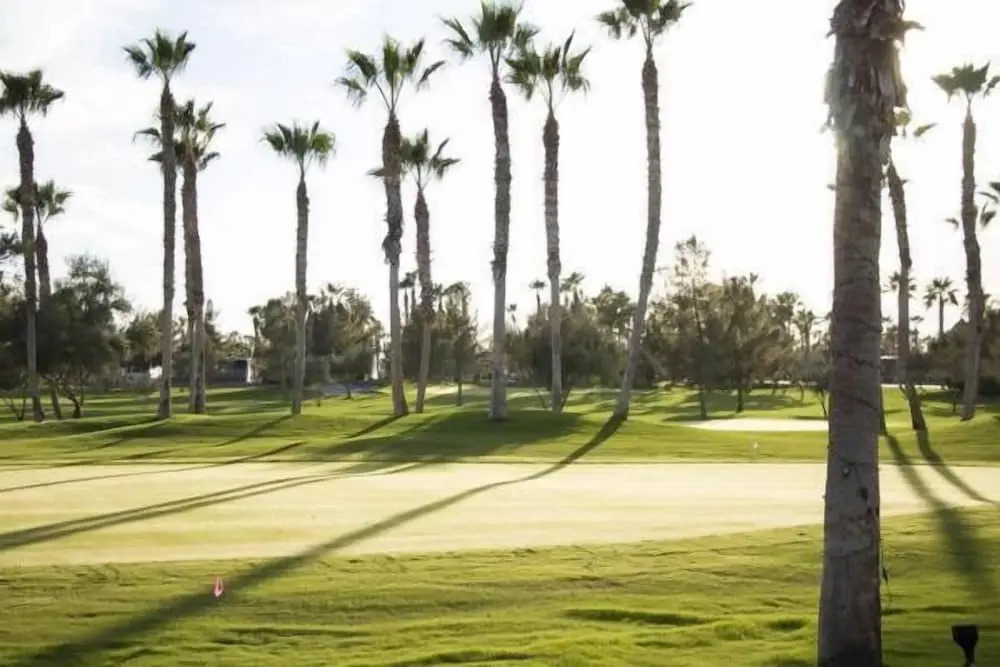 Palm Creek Golf and RV Resort 55 plus