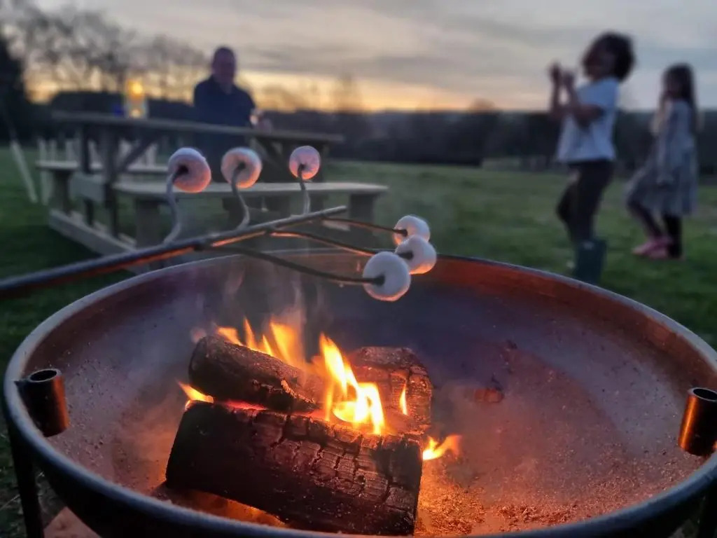 Orchid at Sunsets and Marshmallows