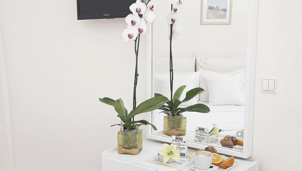 Petradi Beach Lounge Hotel