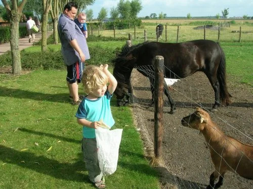 B&B Knotwilgenhoeve