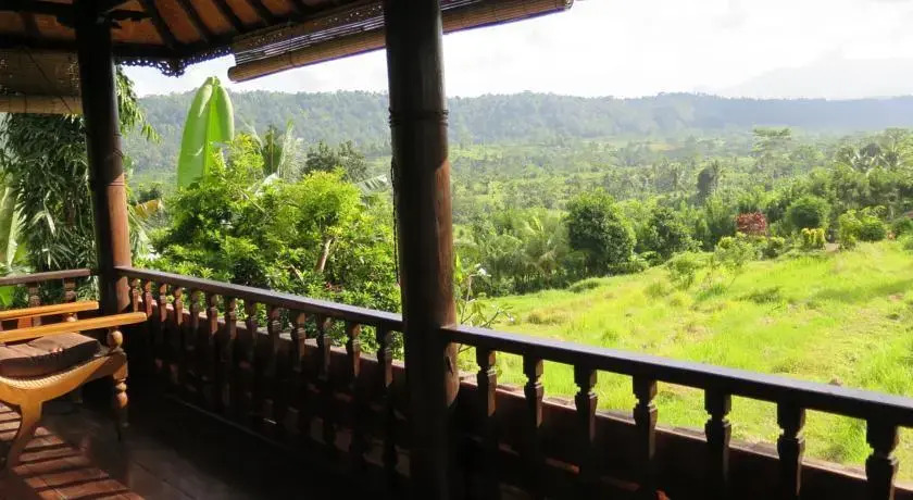 Lihat Sawah 1